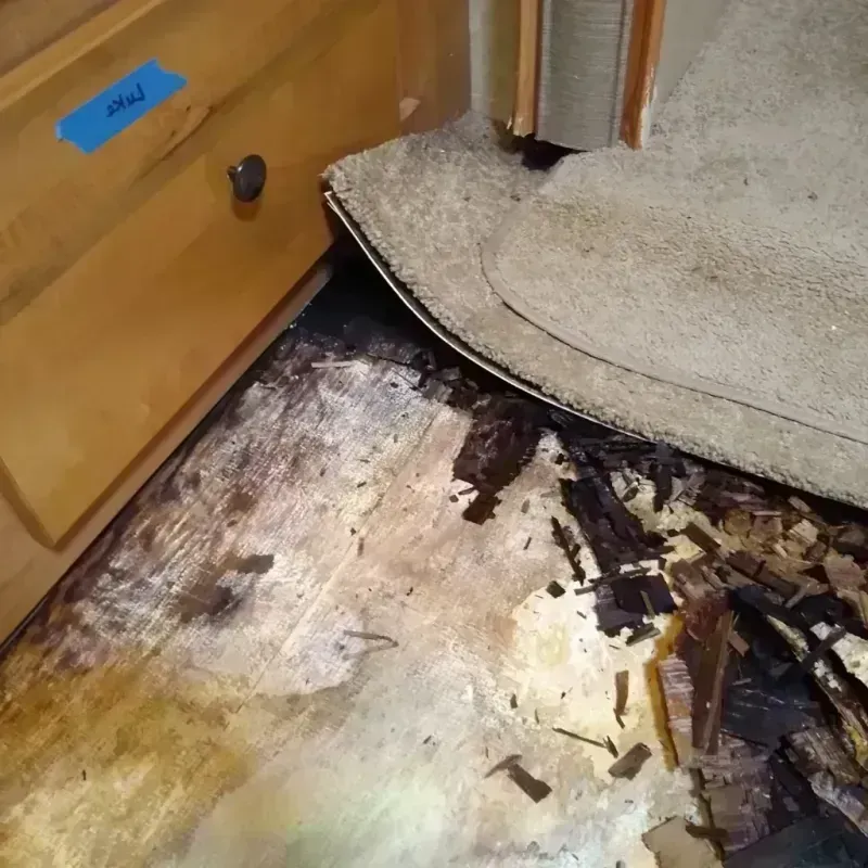 Wood Floor Water Damage in Van, TX